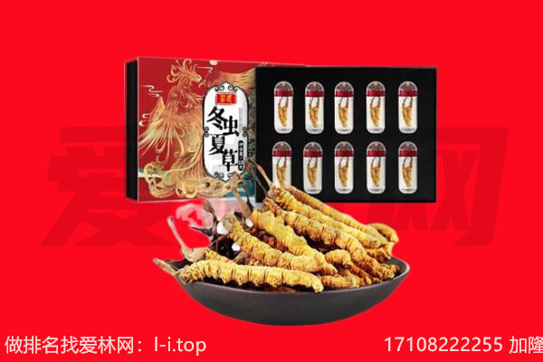 通化市回收虫草.jpg